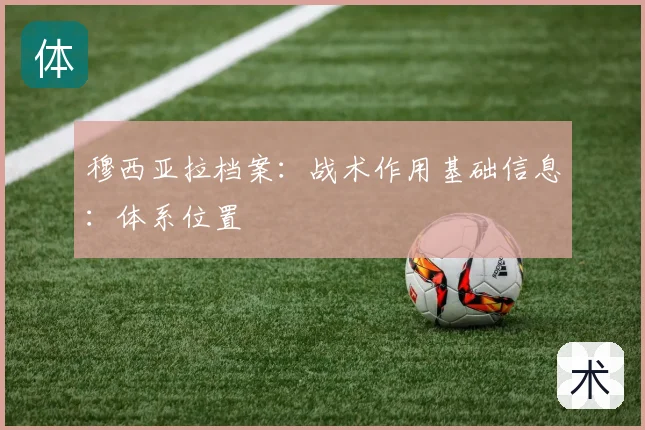 穆西亚拉档案:战术作用基础信息:体系位置